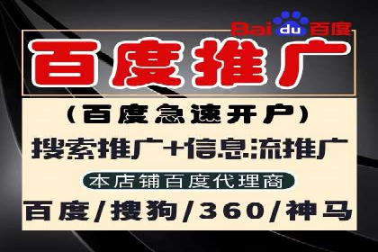 知名SEM服务公司成功案例分享